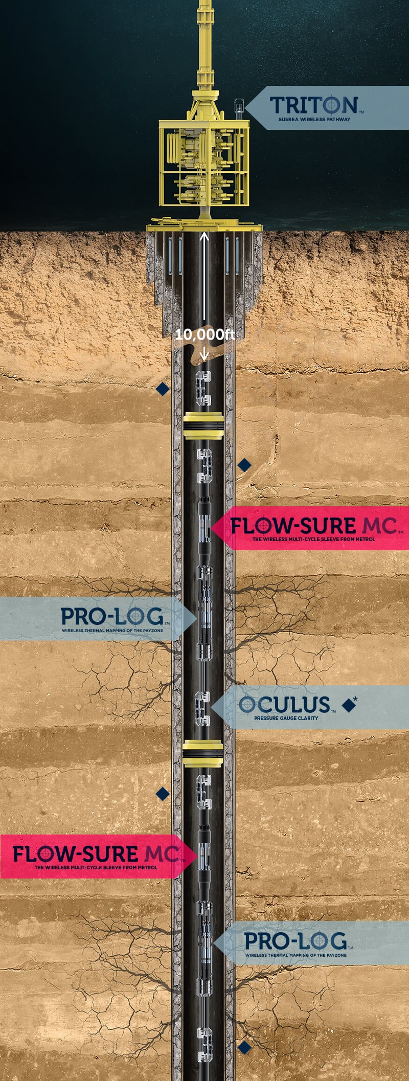 flowsure-diagram.jpg#asset:1281