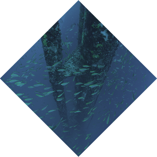 services subsea abandonment